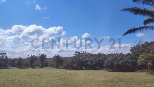 CONDOMINIO LAS LIRAS , Urubo, Santa Cruz 00001, Bolivia