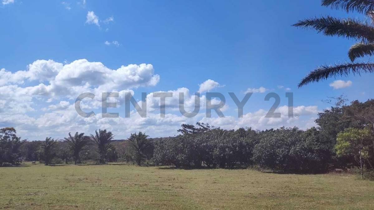 CONDOMINIO LAS LIRAS , Urubo, Santa Cruz 00001, Bolivia