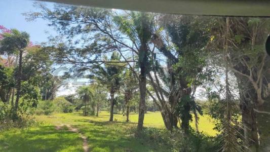 CONDOMINIO LAS LIRAS , Urubo, Santa Cruz 00001, Bolivia