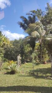 CONDOMINIO LAS LIRAS , Urubo, Santa Cruz 00001, Bolivia