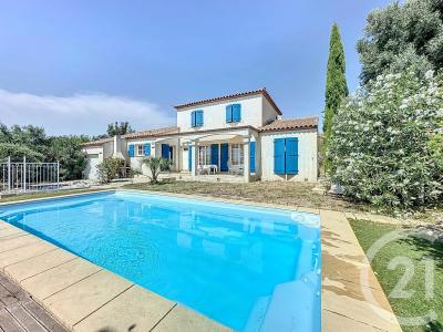 Meze, Лангедок — Руссильон 34140, Франция