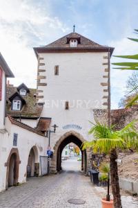 Neckarstr. 77, Horb Am Neckar, Baden-Württemberg 72160, 德國