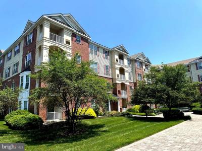 1424 Colts Circle, Lawrence, NJ 08648, USA