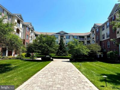 1424 Colts Circle, Lawrence, New Jersey 08648, Stati Uniti