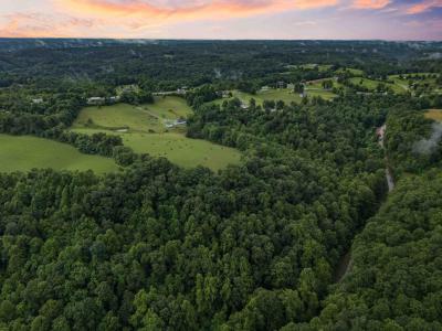 101 Steele Lane, McKee, Kentucky 40447