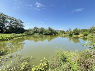 Tbd Saint Clair Road, Whitesburg, 田纳西州 37891, 美国