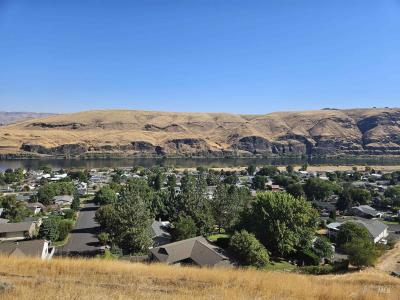 Tbd Garfield St, Asotin, Washington 99402, USA