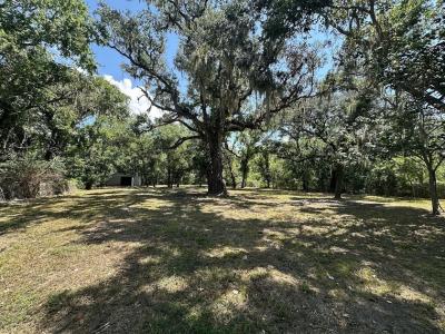 0 Austin Street, Brazoria, Texas 77422