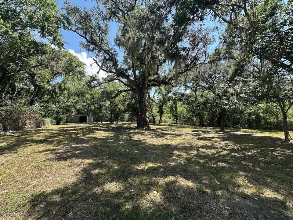 0 Austin Street, Brazoria, Texas 77422