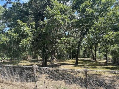 0 Austin Street, Brazoria, Texas 77422