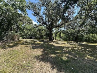 0 Austin Street, Brazoria, Texas 77422