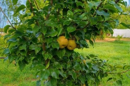 714 W Williams Street, Sallisaw, Oklahoma 74955, États-Unis