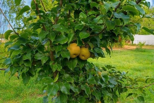 714 W Williams Street, Sallisaw, Oklahoma 74955, États-Unis