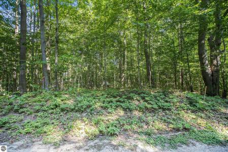 313 Shorewood Drive, Frankfort, Мичиган 49635, Соединенные Штаты