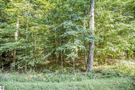 313 Shorewood Drive, Frankfort, Мичиган 49635, Соединенные Штаты