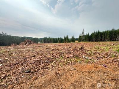 120 Woodberry Lane, Winlock, Washington 98596, USA