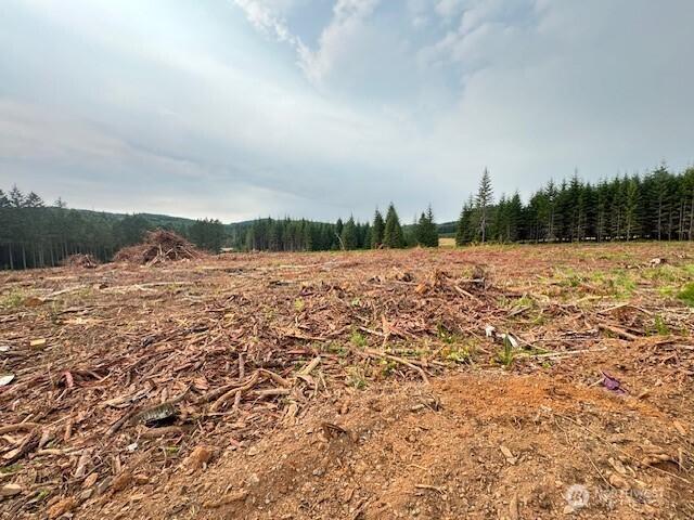 120 Woodberry Lane, Winlock, 华盛顿州 98596, 美国