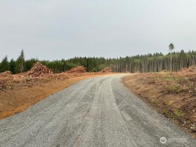 120 Woodberry Lane, Winlock, 华盛顿州 98596, 美国