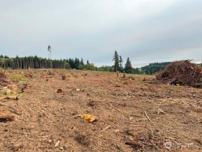 120 Woodberry Lane, Winlock, 华盛顿州 98596, 美国