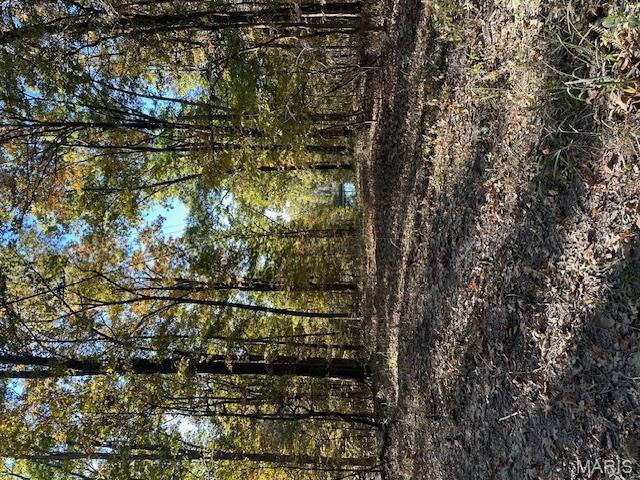 747 Hohokam Lane, Jackson, מיזורי 63755, ארצות הברית של אמריקה 