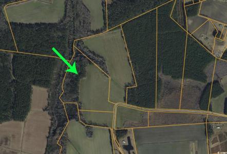 4633 Grainger Circle, Green Sea, 南卡罗来纳州 29545, 美国