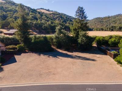 8336 Paradise Valley Boulevard, Lucerne, Californie 95458, États-Unis