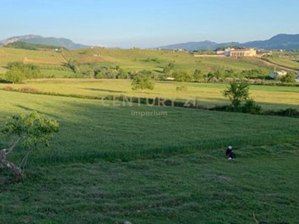 Surrel, Tirana, 阿爾巴尼亞