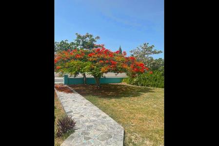 Leeward Palms Family Home, Leeward, 普羅維登夏, 特克斯和凱科斯群島