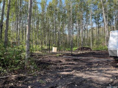 7 BUFFALO POUND ROAD, Big River Rm No. 555, Saskatchewan S0J 0E0, Canada