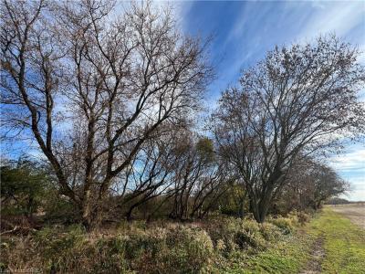 567 BURTCH ROAD, Mount Pleasant, 安大略省 N0E 1K0, 加拿大