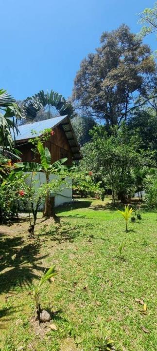 Calle Bordón Cahuita Talamanca, Limón 00001, קוסטה ריקה 