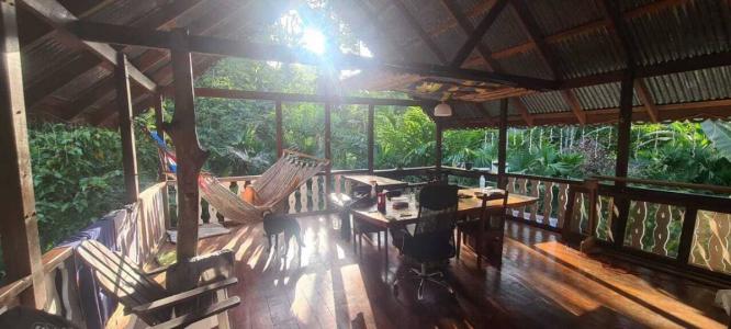 Calle Bordón Cahuita Talamanca, Limón 00001, קוסטה ריקה 