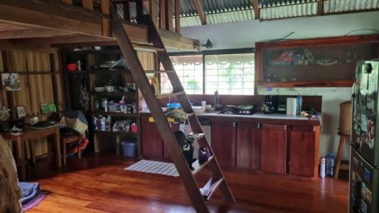 Calle Bordón Cahuita Talamanca, Limón 00001, קוסטה ריקה 