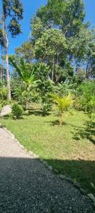 Calle Bordón Cahuita Talamanca, Limón 00001, קוסטה ריקה 