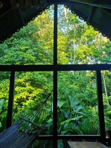 Calle Bordón Cahuita Talamanca, Limón 00001, קוסטה ריקה 