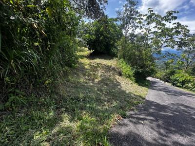 Atenas Atenas, Alajuela 20501, Costa Rica