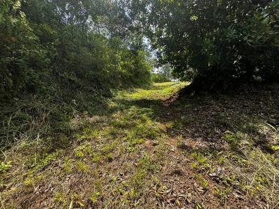 Atenas Atenas, Alajuela 20501, Costa Rica