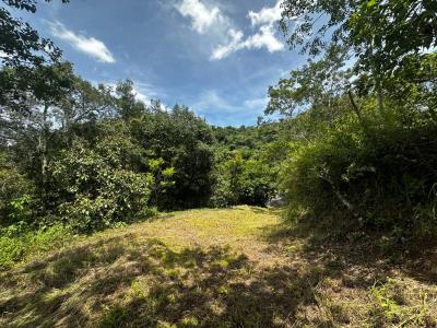 Atenas Atenas, Alajuela 20501, Costa Rica