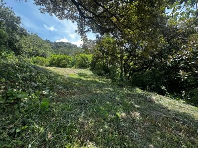 Atenas Atenas, Alajuela 20501, Costa Rica