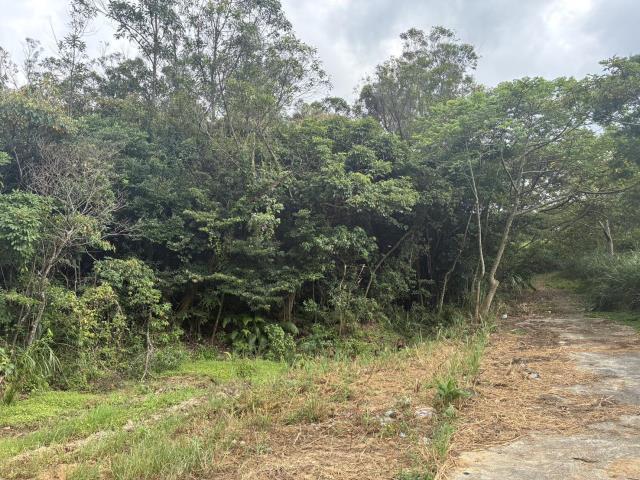 梅獅路二段, 楊梅區, טאו - יואן העיר 326, טיוואן