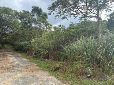 梅獅路二段, 楊梅區, טאו - יואן העיר 326, טיוואן