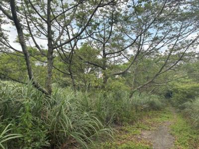 梅獅路二段, 楊梅區, טאו - יואן העיר 326, טיוואן