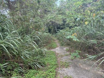 梅獅路二段, 楊梅區, טאו - יואן העיר 326, טיוואן