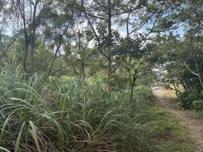 梅獅路二段, 楊梅區, טאו - יואן העיר 326, טיוואן