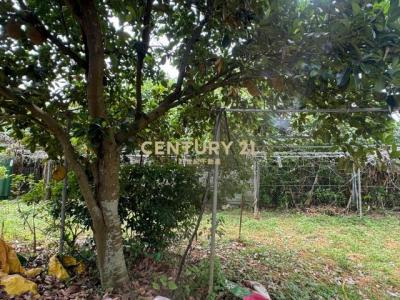 大安段, 八德區, Taoyuan 334, Taiwán