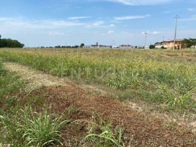 Via le Cassere, Oppeano, 베네토주 37050, 이탈리아