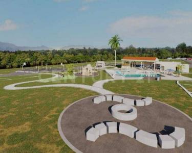 Carmen De Apicala, Tolima 00001, Colombia