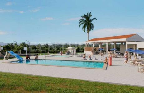 Carmen De Apicala, Tolima 00001, Colombia