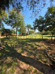 Avenida del Peñon y del Maestro , Limpio, Central 00001, Paraguay