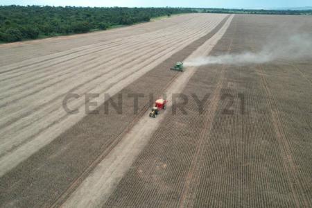 San Estanislao, San Pedro 00001, Paraguay